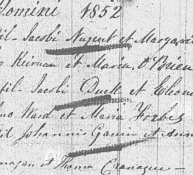 A page from a Latin parish baptism register, 1851 to 1852, with the year 1852 written at the top